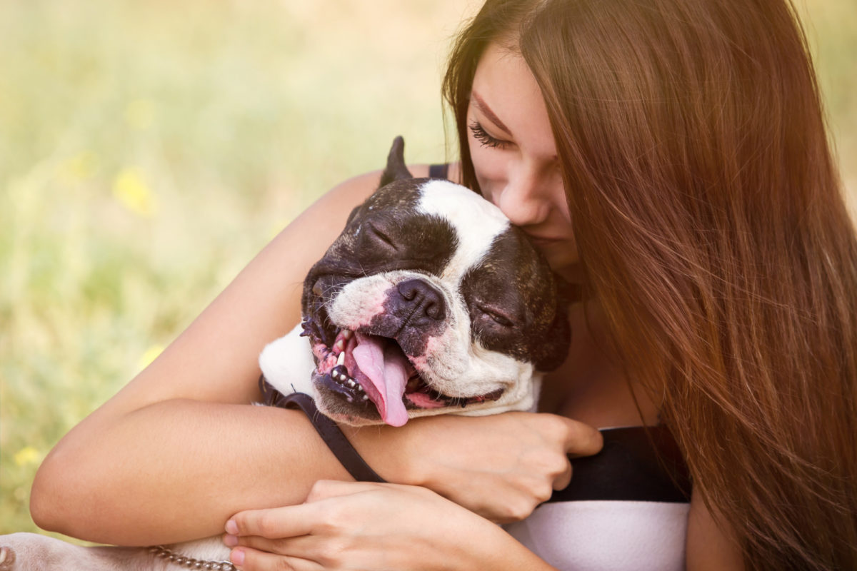 Les 10 races de chiens qui sont les plus affectueuses envers leur maître